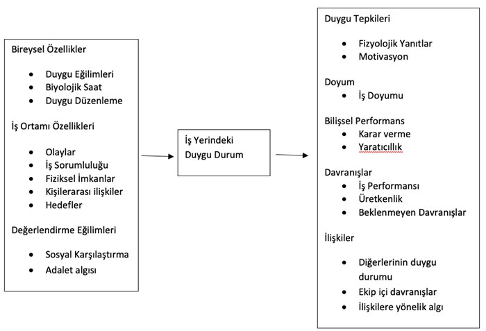 İş Yerinde Duygu Düzenleme