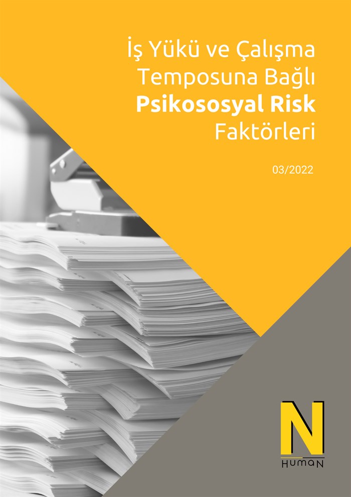 İş Yükü ve Çalışma Temposuna Bağlı Psikososyal Risk Faktörleri