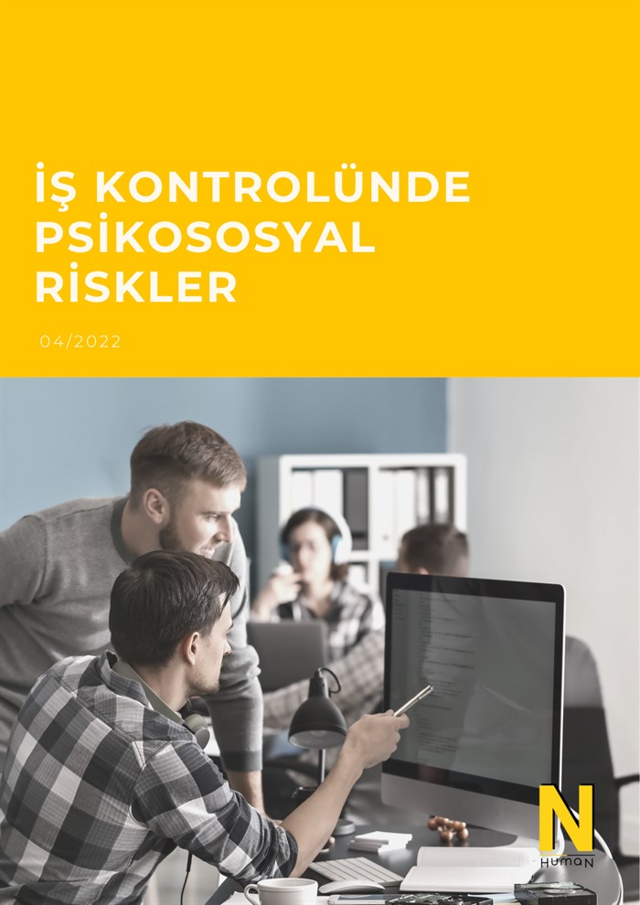 İş Kontrolünde Psikososyal Riskler