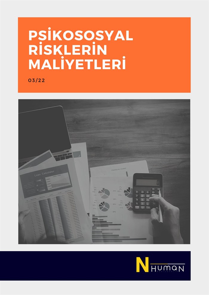 Psikososyal Risklerin Maliyetleri