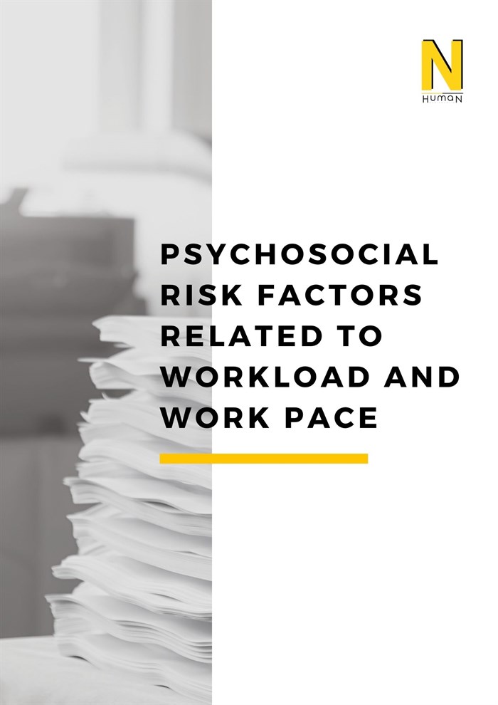 Psychosocial Risk Factors Related to Workload and Work Pace